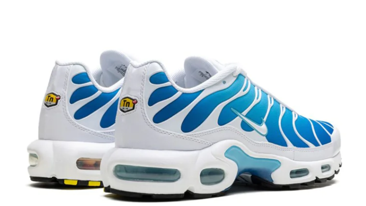 Nike Air Max TN Blue Gaze